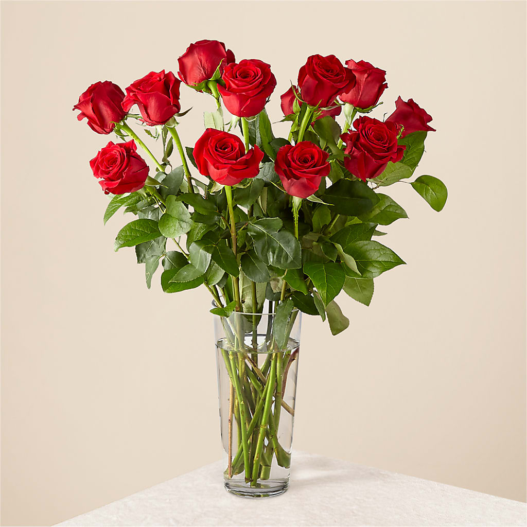 Long Stem Red Rose Bouquet – West Hollywood Florist, West Hollywood CA