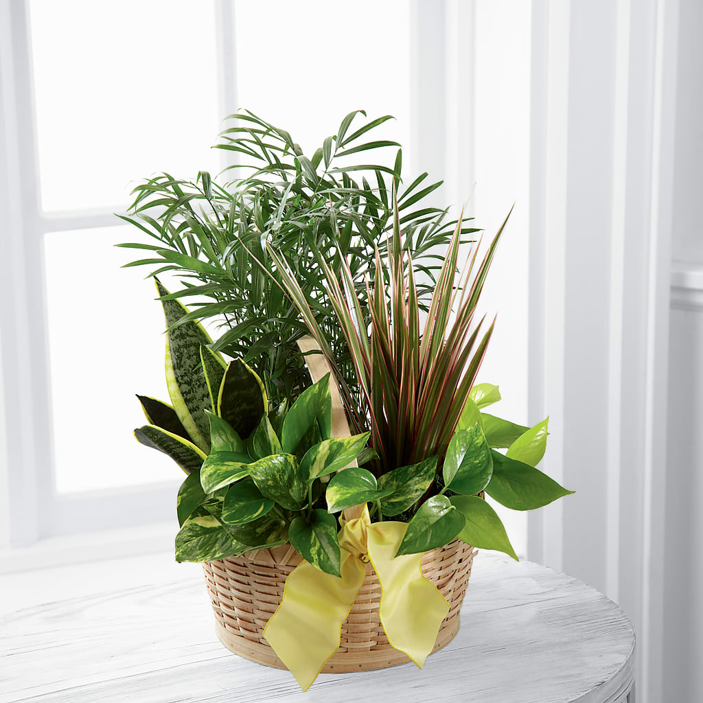French Garden – West Hollywood Florist, West Hollywood CA