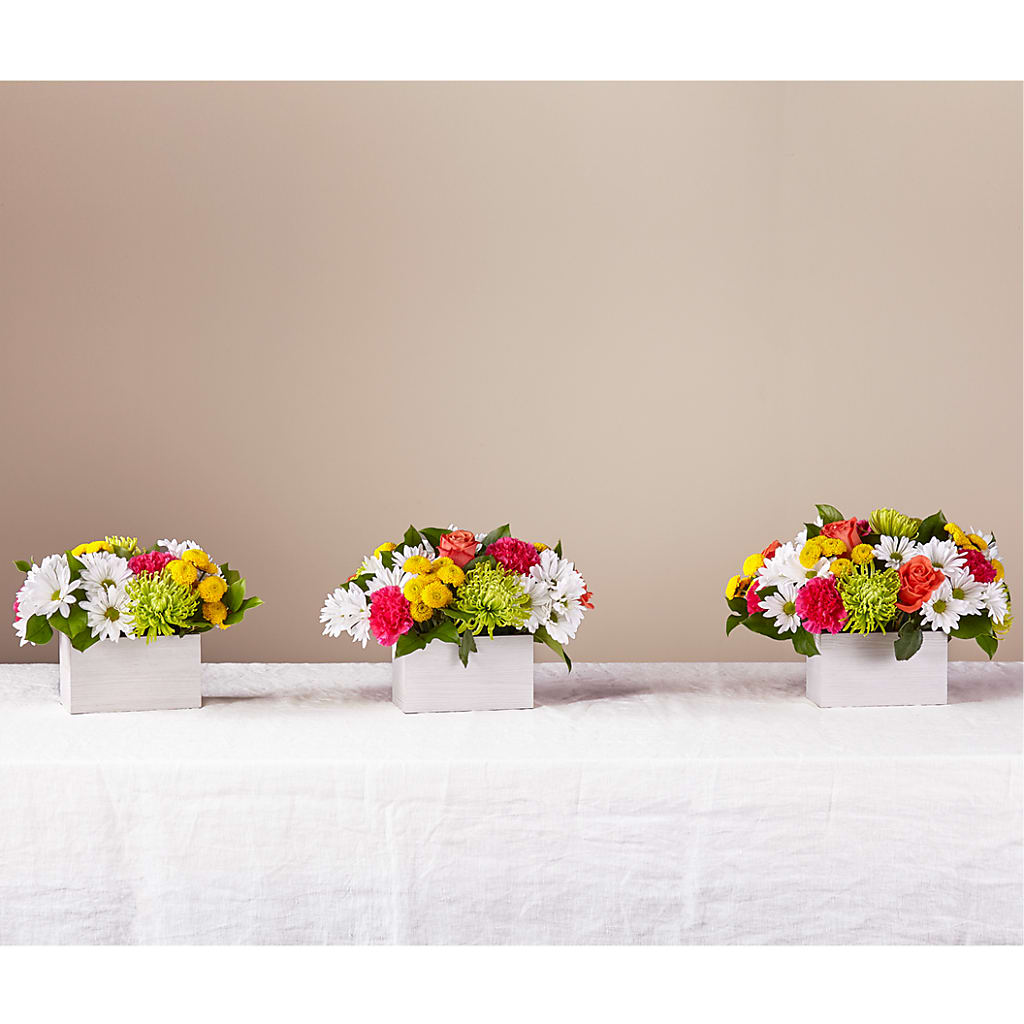 Sorbet Bouquet – West Hollywood Florist, West Hollywood CA