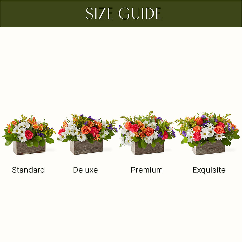 Oopsie Daisy Box Bouquet – West Hollywood Florist, West Hollywood CA