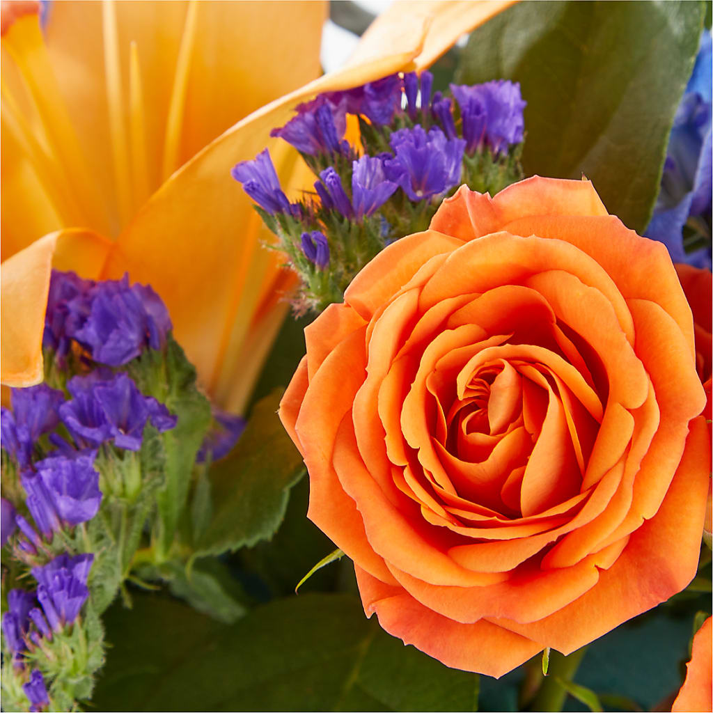 Radiant Citrus Box Bouquet – West Hollywood Florist, West Hollywood CA