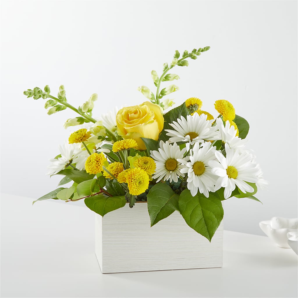 Sun Salutation Box Bouquet – West Hollywood Florist, West Hollywood CA
