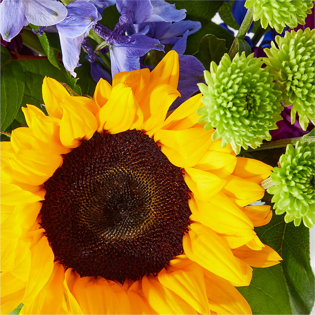 Catching Rays Bouquet – West Hollywood Florist, West Hollywood CA