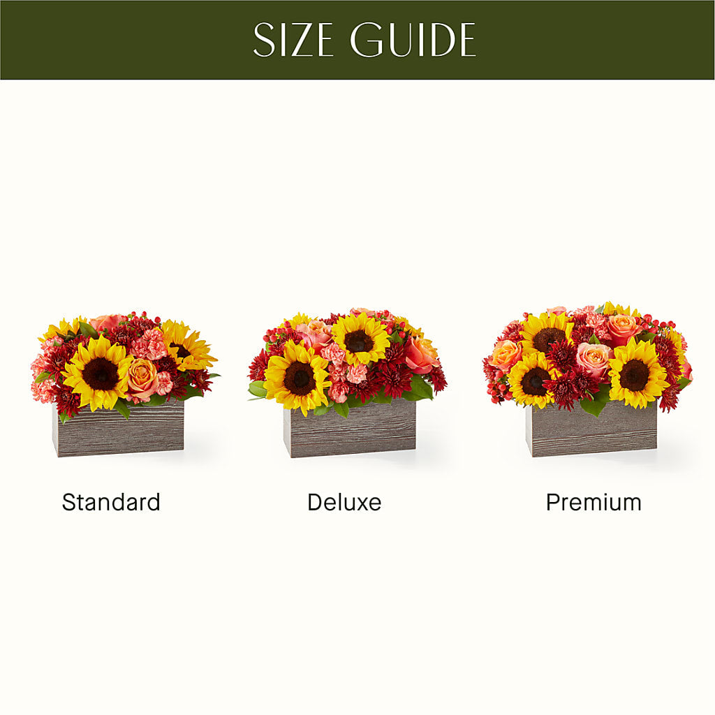 Fresh Cider Bouquet – West Hollywood Florist, West Hollywood CA