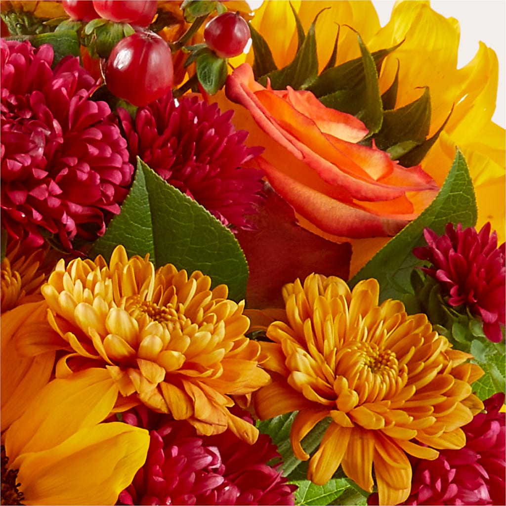 Sweater Season - A Florist Original – West Hollywood Florist, West Hollywood CA