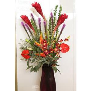 Tropical Delight – West Hollywood Florist, West Hollywood CA