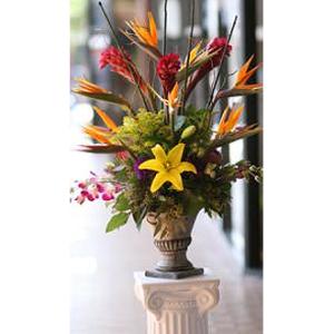 Exotic Dance Arrangement – West Hollywood Florist, West Hollywood CA