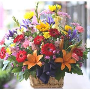 Wild Garden Basket – West Hollywood Florist, West Hollywood CA