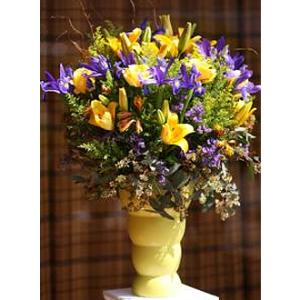 Blue and Yellow – West Hollywood Florist, West Hollywood CA