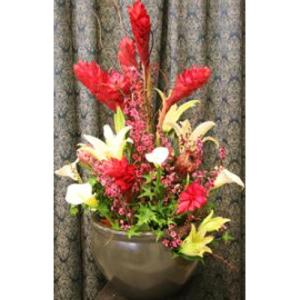 Exotic Blend Arrangement – West Hollywood Florist, West Hollywood CA