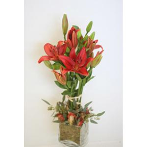 Lily Tree Floral Arrangement – West Hollywood Florist, West Hollywood CA