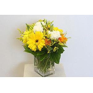 Little Sunshine Floral Arrangement – West Hollywood Florist, West Hollywood CA