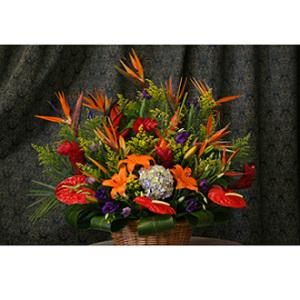 Tropical Island Floral Arrangement – West Hollywood Florist, West Hollywood CA