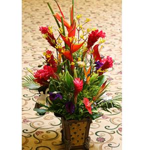 Royal Flash Tropical Arrangement – West Hollywood Florist, West Hollywood CA