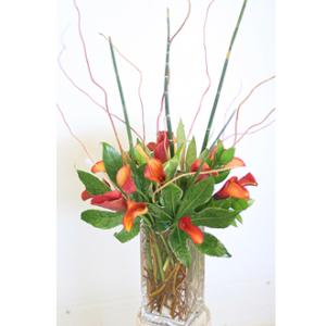 LA110 Calla Lilies Sophistication