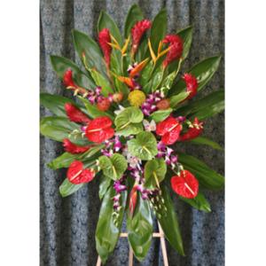 Tropical Tribute – West Hollywood Florist, West Hollywood CA
