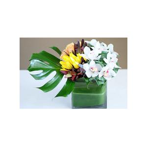 Weho Leafy Tale Flower Arrangement – West Hollywood Florist, West Hollywood CA