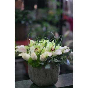Modern Blooms – West Hollywood Florist, West Hollywood CA