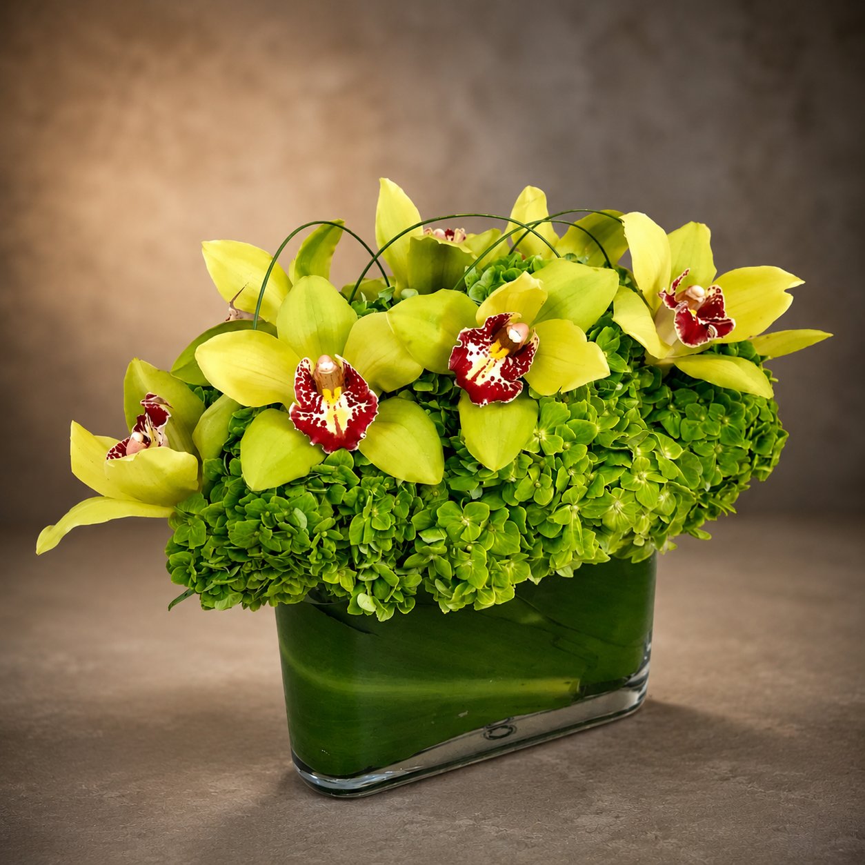 Supa Green Contempo – West Hollywood Florist, West Hollywood CA