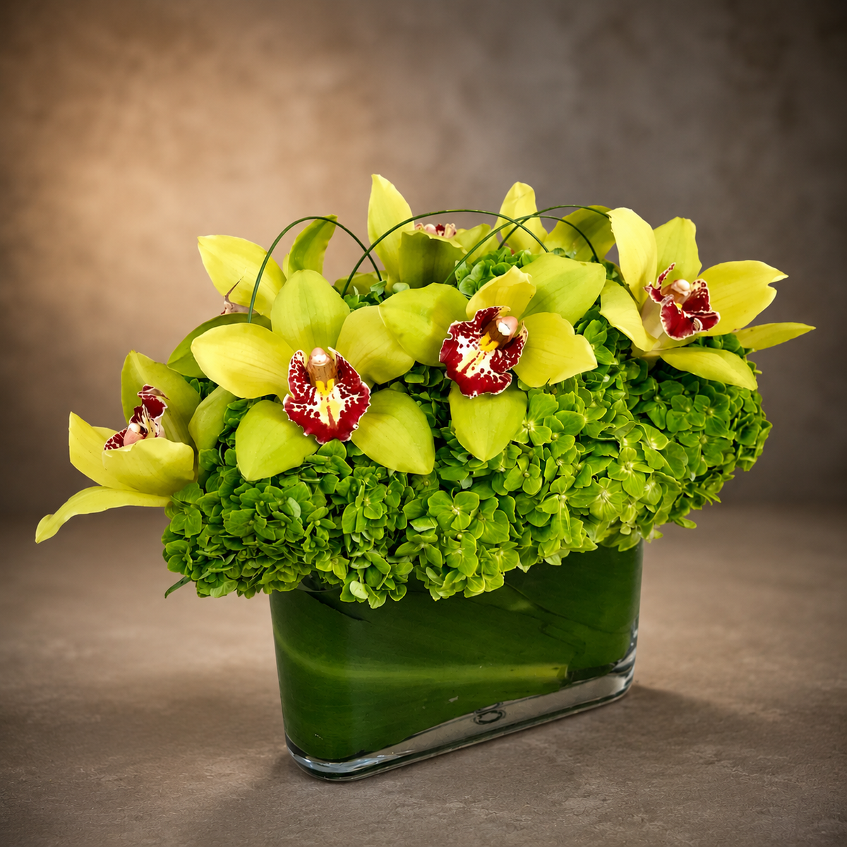 Supa Green Contempo – West Hollywood Florist, West Hollywood CA