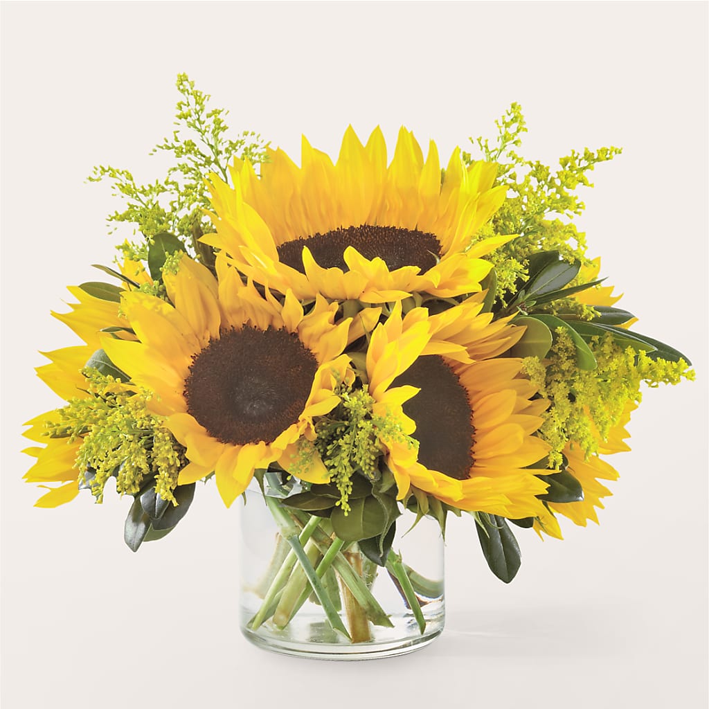 Beaming Sunflower Bouquet – West Hollywood Florist, West Hollywood CA