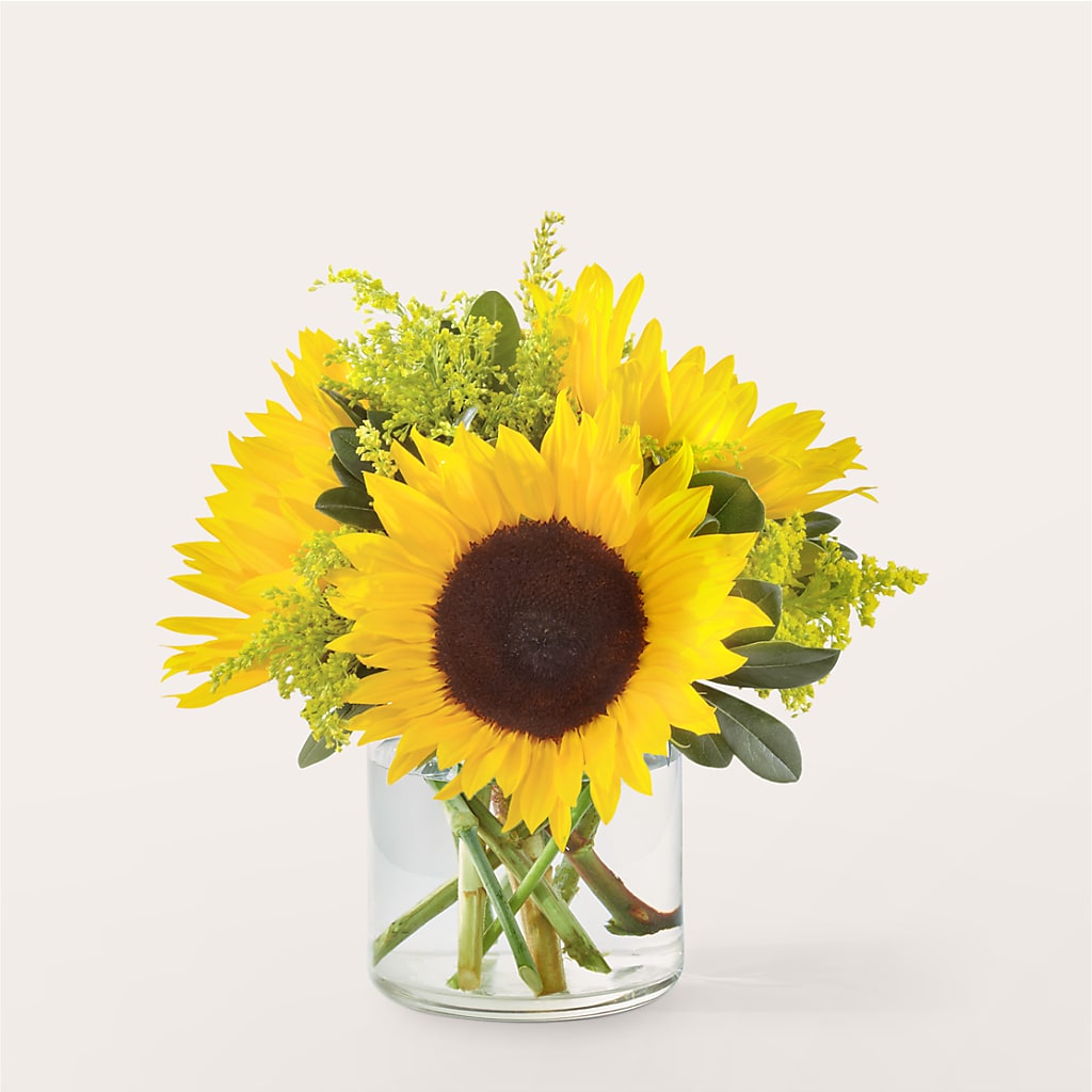 Beaming Sunflower Bouquet – West Hollywood Florist, West Hollywood CA