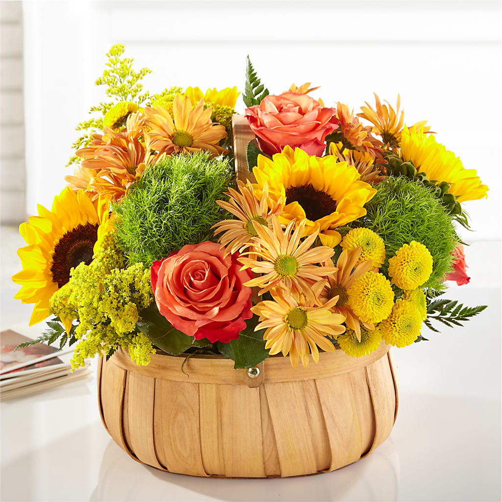Harvest Sunflower Basket – West Hollywood Florist, West Hollywood CA