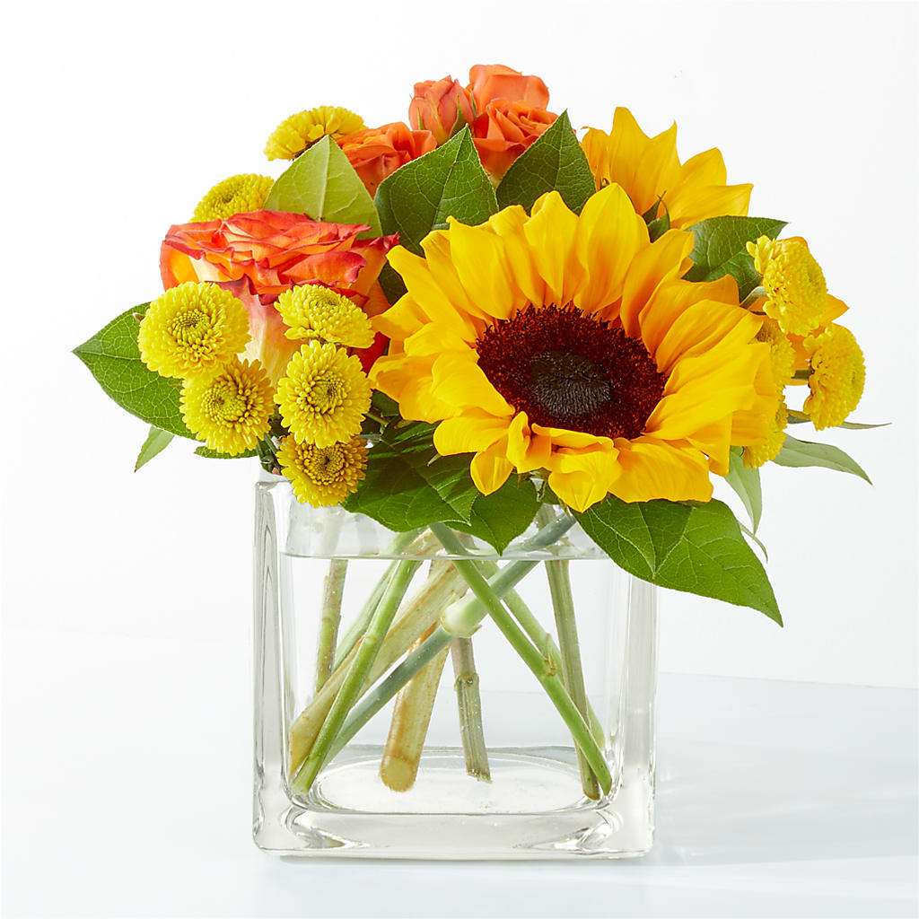 Picnic in the Park Bouquet – West Hollywood Florist, West Hollywood CA