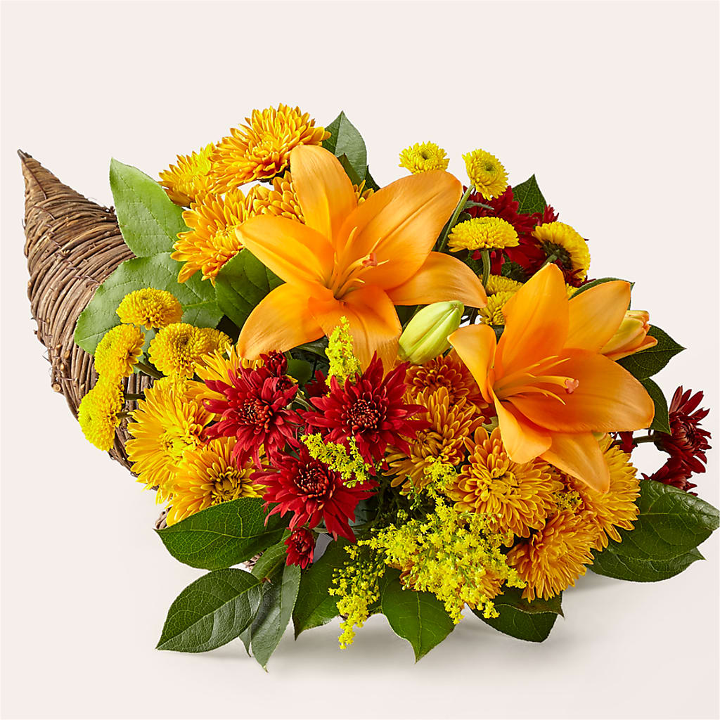 Feast of Color Cornucopia – West Hollywood Florist, West Hollywood CA