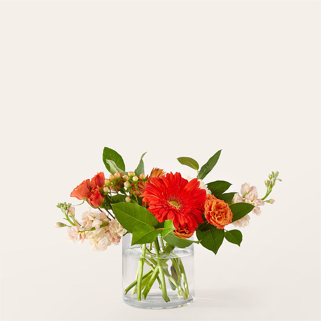 Paloma Please Bouquet – West Hollywood Florist, West Hollywood CA