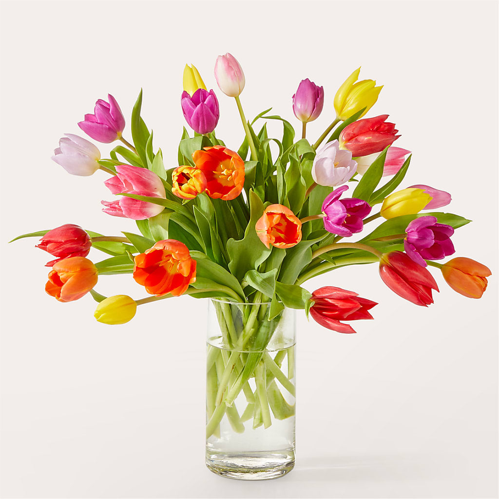 Let's Talk Tulips Bouquet – West Hollywood Florist, West Hollywood CA