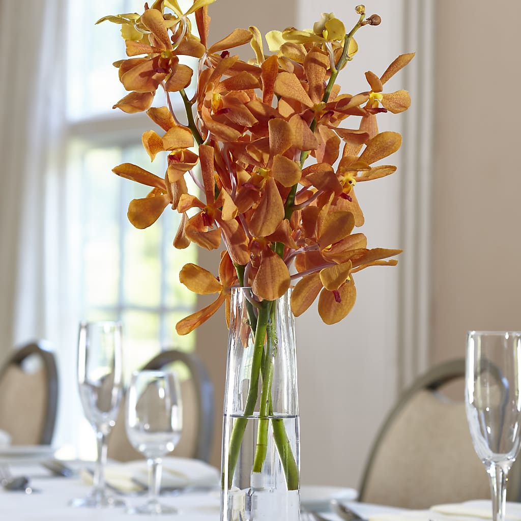 Orange Mokara Bud Vase – West Hollywood Florist, West Hollywood CA