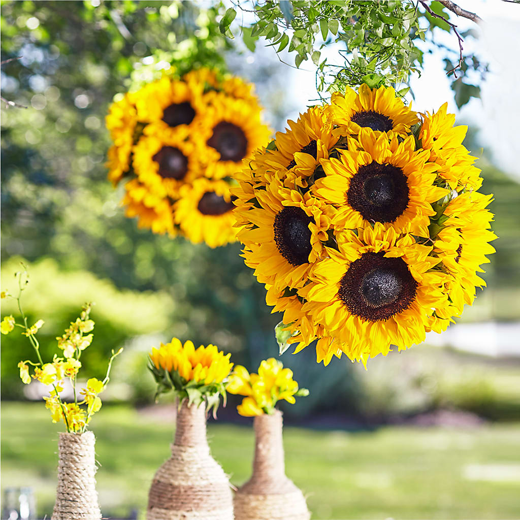 Sublime Garden Hanging Arrangement – West Hollywood Florist, West Hollywood CA