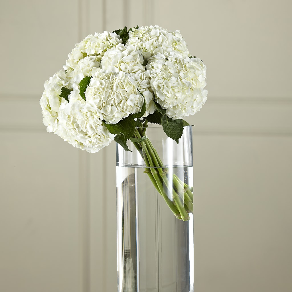 White Hydrangea Hand-Tied Bouquet – West Hollywood Florist, West Hollywood CA