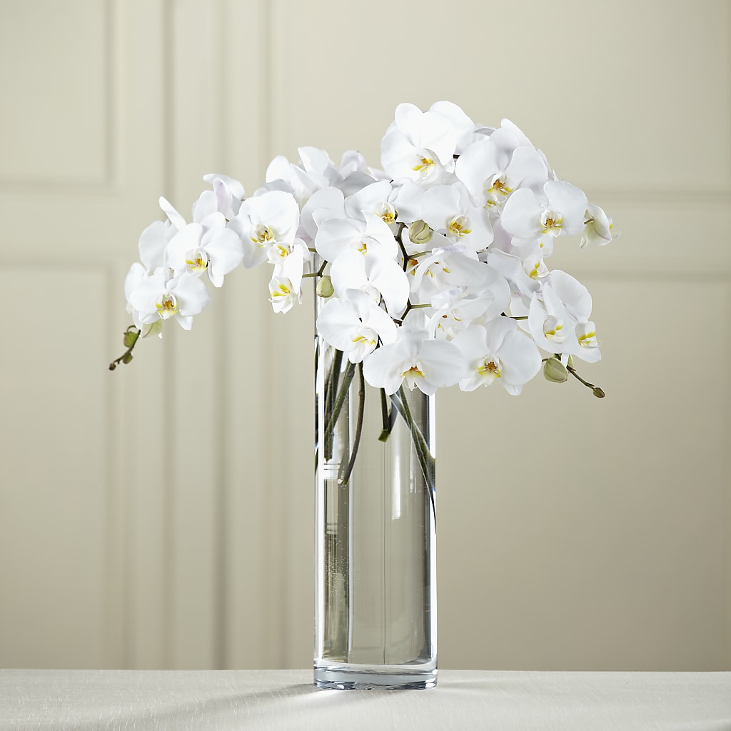 White Phalaenopsis Bouquet – West Hollywood Florist, West Hollywood CA