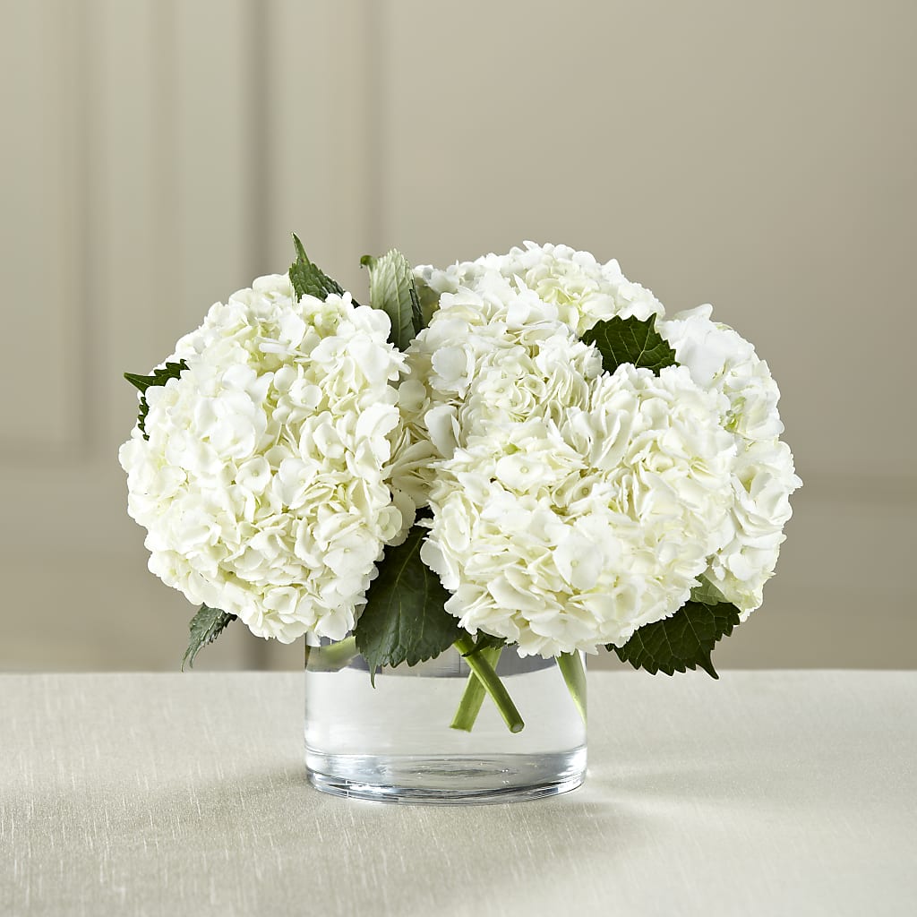 White Hydrangea Bouquet – West Hollywood Florist, West Hollywood CA