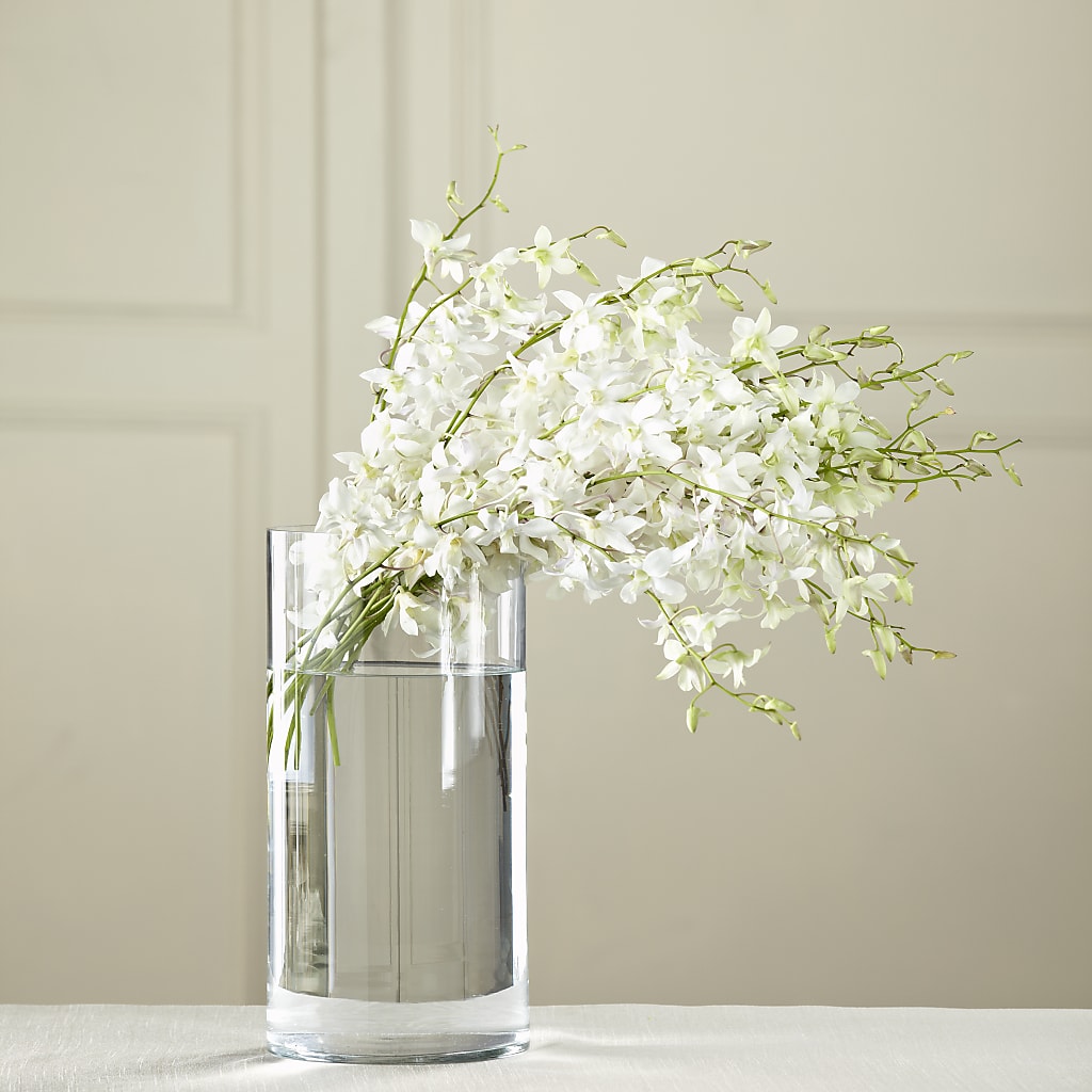 White Dendrobium Bouquet – West Hollywood Florist, West Hollywood CA