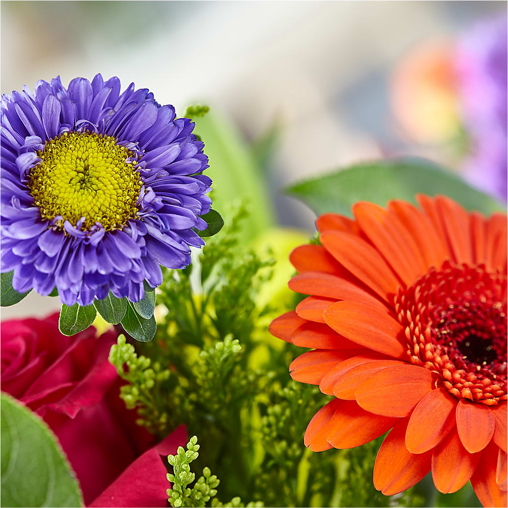 Bold & Bright – A Florist Original –  West Hollywood Florist, West Hollywood CA