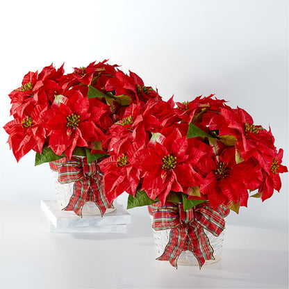 Happiest Holidays Poinsettia Bundle –  West Hollywood Florist, West Hollywood CA
