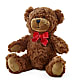 Adorable Plush Bear –  West Hollywood Florist, West Hollywood CA