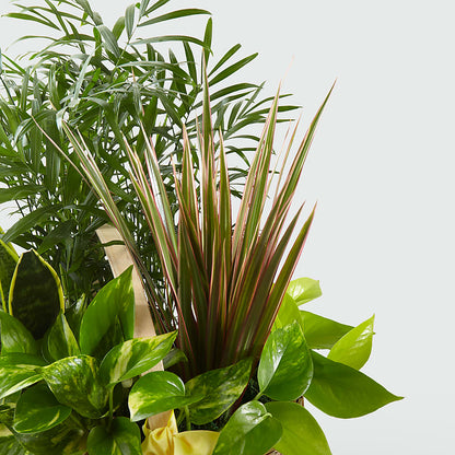 French Garden –  West Hollywood Florist, West Hollywood CA
