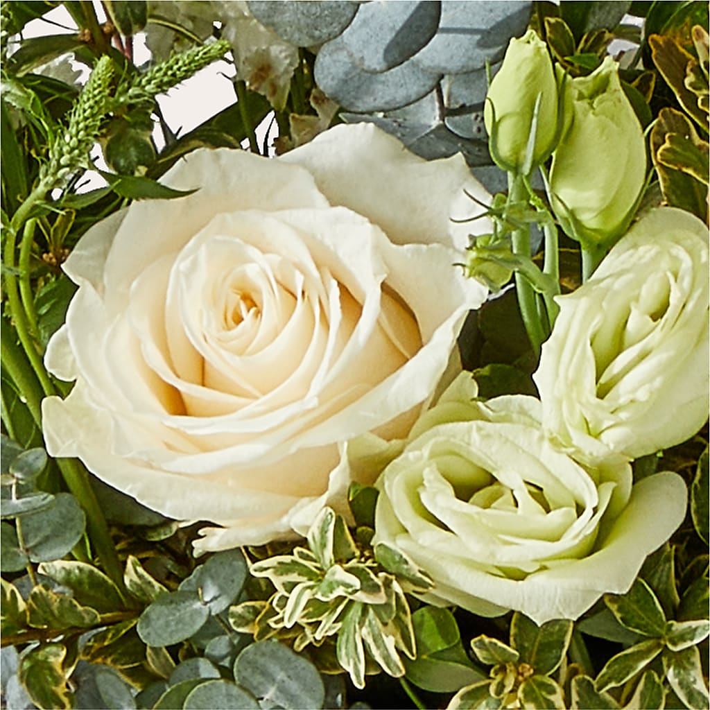 Cashmere Bouquet –  West Hollywood Florist, West Hollywood CA