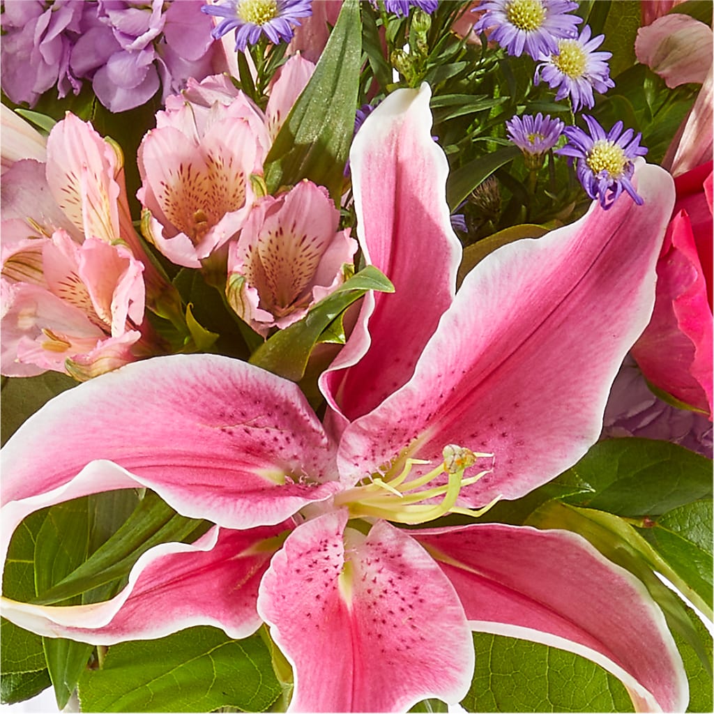 Written in the Stars Bouquet –  West Hollywood Florist, West Hollywood CA