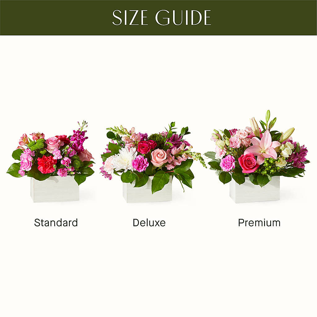 Sweetberry Box – A Florist Original –  West Hollywood Florist, West Hollywood CA