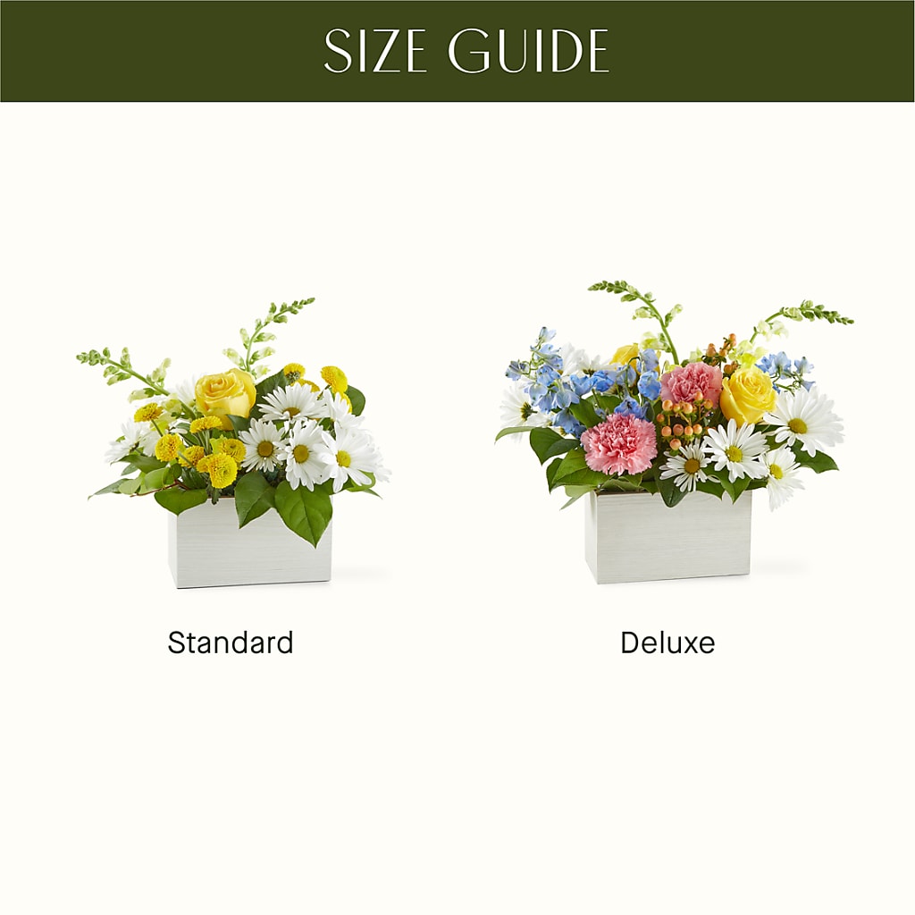 Sun Salutation Box Bouquet –  West Hollywood Florist, West Hollywood CA
