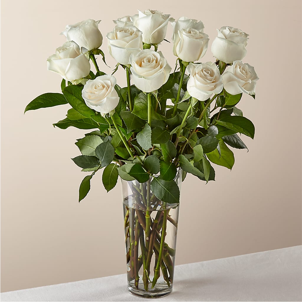 Long Stem White Rose Bouquet –  West Hollywood Florist, West Hollywood CA