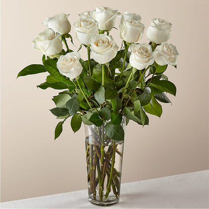 Long Stem White Rose Bouquet –  West Hollywood Florist, West Hollywood CA