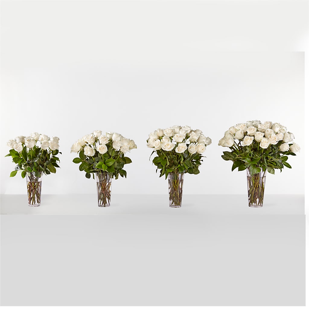 Long Stem White Rose Bouquet –  West Hollywood Florist, West Hollywood CA