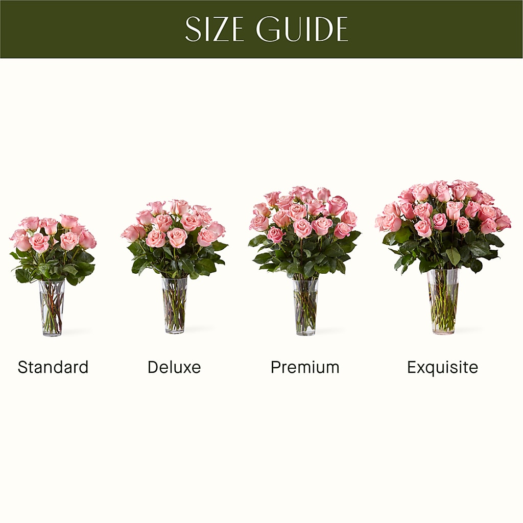 Long Stem Pink Rose Bouquet –  West Hollywood Florist, West Hollywood CA