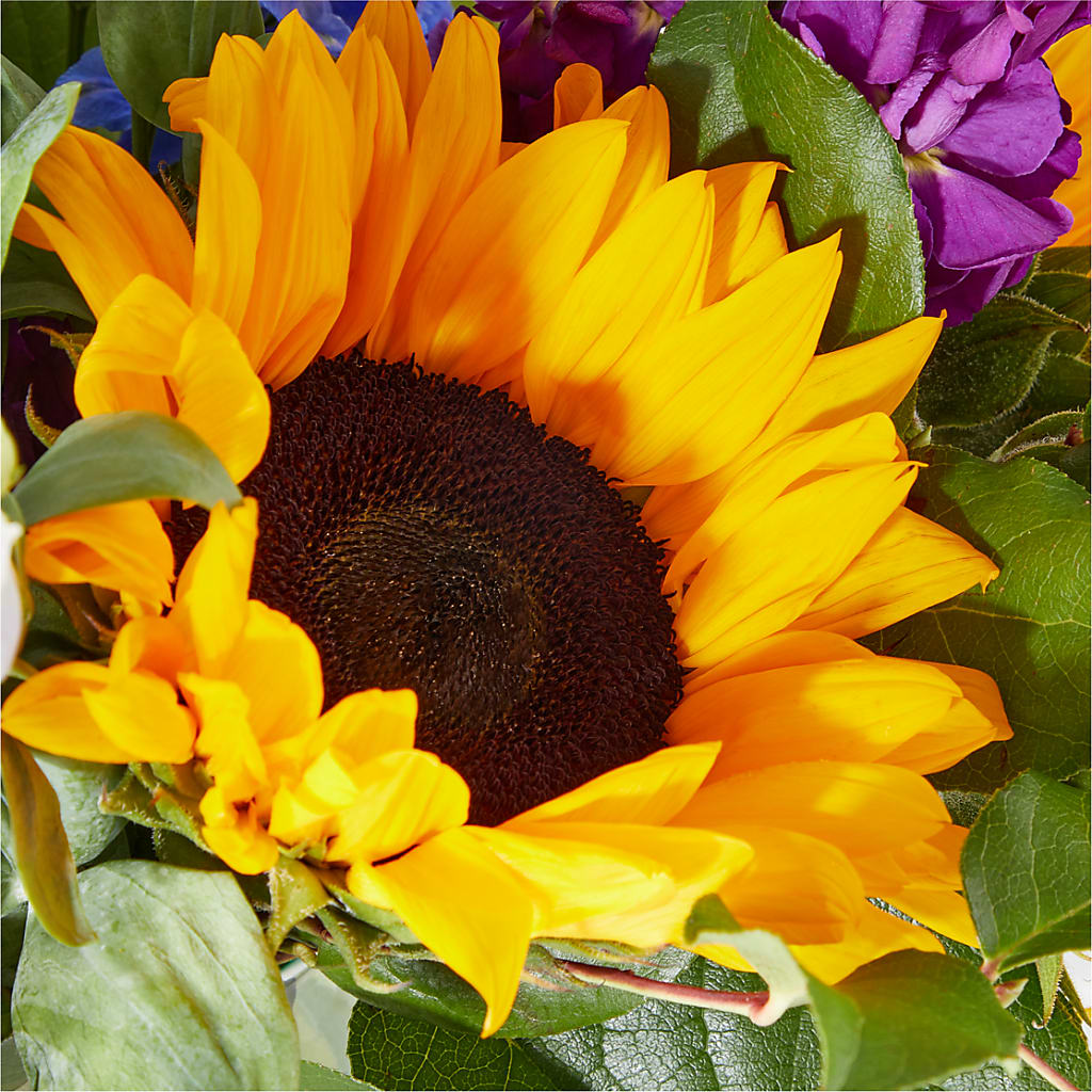 Catching Rays Bouquet –  West Hollywood Florist, West Hollywood CA
